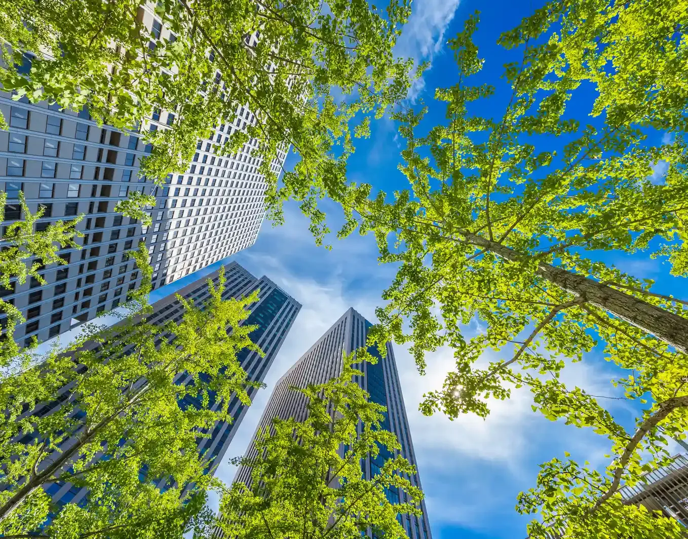 CBD greenspace between glass office towers, looking up