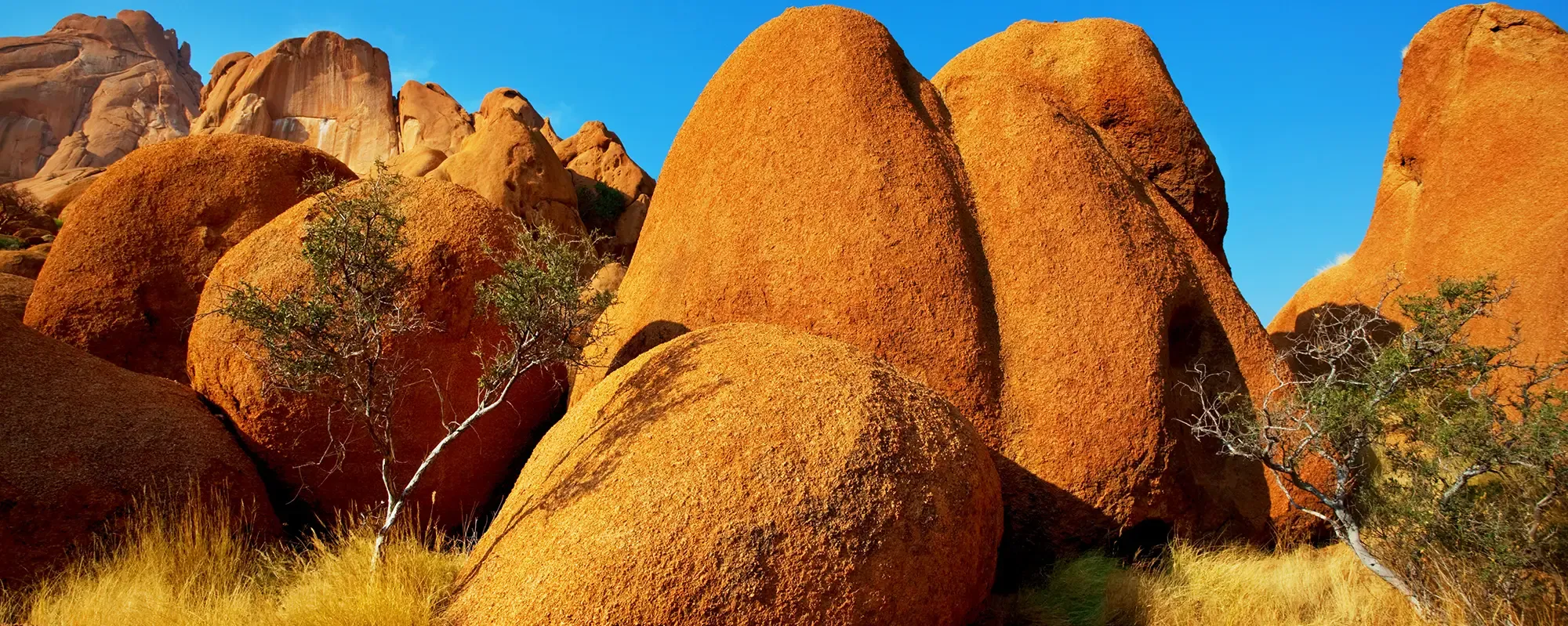 Australian landscape with red rocks