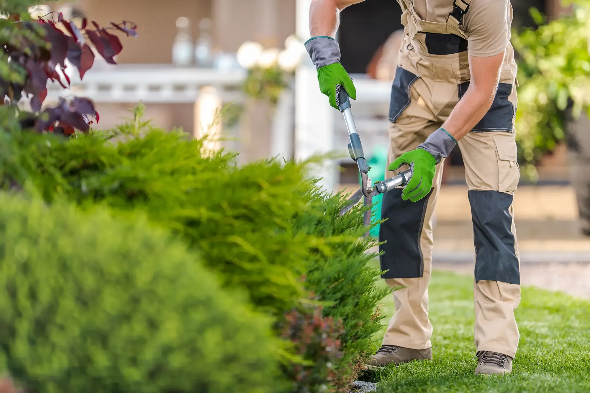 landscaper-trimming-bushes-on-a-sunny-day